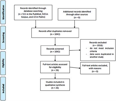 Is tDCS an Adjunct Ergogenic Resource for Improving Muscular Strength and Endurance Performance? A Systematic Review